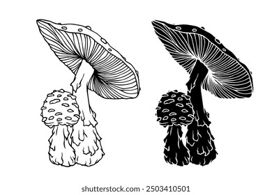 Line sketch, silhouette, stamp of toadstool mushrooms. Vector graphics.