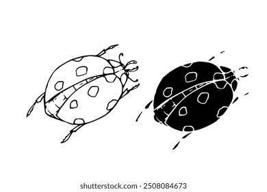 Line sketch, silhouette, stamp of a winged insect ladybug. Vector graphics.	