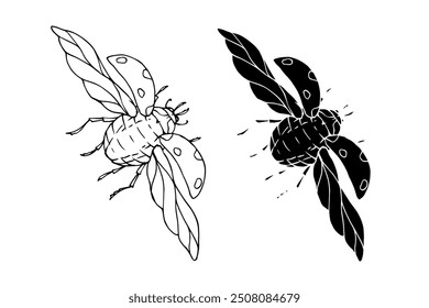 Line sketch, silhouette, stamp of a winged insect ladybug. Vector graphics.	