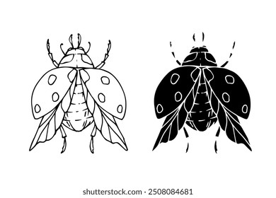 Line sketch, silhouette, stamp of a winged insect ladybug. Vector graphics.	