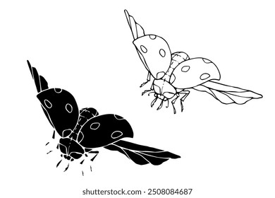 Line sketch, silhouette, stamp of a winged insect ladybug. Vector graphics.	