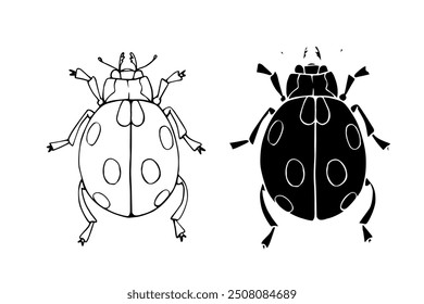 Line sketch, silhouette, stamp of a winged insect ladybug. Vector graphics.	