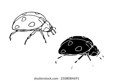 Line sketch, silhouette, stamp of a winged insect ladybug. Vector graphics.	