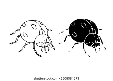 Line sketch, silhouette, stamp of a winged insect ladybug. Vector graphics.	