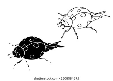 Line sketch, silhouette, stamp of a winged insect ladybug. Vector graphics.	