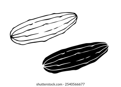 Line sketch, stamp, cucumber vegetables silhouette. Vector graphics.