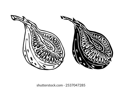 Esquema de linha, selo, figo, silhueta de frutas. Gráficos vetoriais.