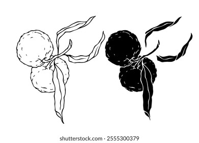Line sketch, stamp, silhouette of citrus fruit mandarin. Vector graphics.