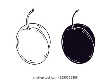 Line sketch, stamp, silhouette of plum fruits. Vector graphics.