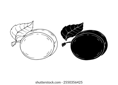 Line sketch, stamp, silhouette of plum fruits. Vector graphics.
