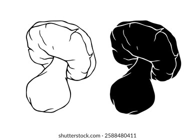 Line sketch, stamp, silhouette of porcini mushrooms. Vector graphics.