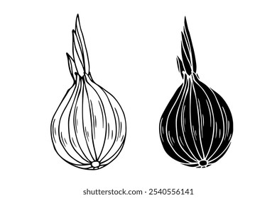 Line sketch, stamp, silhouette of vegetables, root crop onion. Vector graphics.