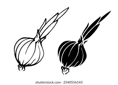 Line sketch, stamp, silhouette of vegetables, root crop onion. Vector graphics.