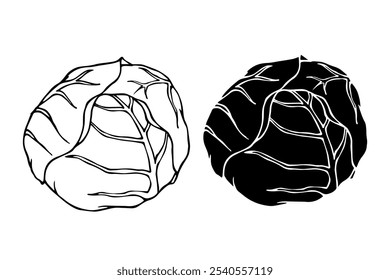 Esquema de linha, selo, silhueta de verduras cabeças de repolho branco. Gráficos vetoriais.