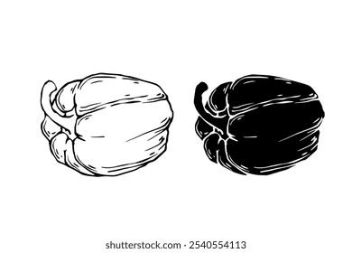 Line sketch, stamp, stencil of sweet pepper vegetables. Vector graphics.