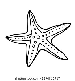 Line sketch, starfish doodle. Decorative vector element.