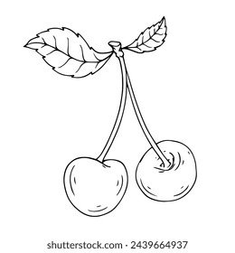 Line sketch of summer cherries. Vector graphics.