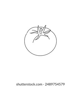 Line sketch tomato stroke pencil with blank background