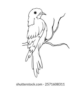 Line sketch of wild little bird sitting on a branch.Vector graphics.