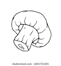 Line sketch,contour of forest mushroom champignon.Vector graphics.
