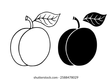 Line sketch,contour,silhouette of apricot fruits.Vector graphics.