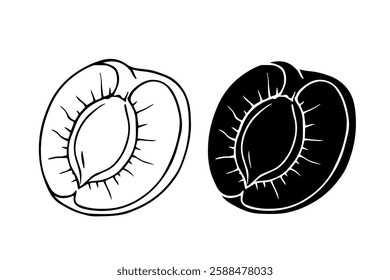 Line sketch,contour,silhouette of apricot fruits.Vector graphics.