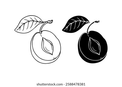 Line sketch,contour,silhouette of plum fruits.Vector graphics.