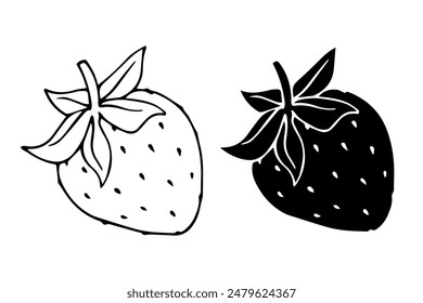 Line sketch,silhouette of summer strawberry.Vector graphics.