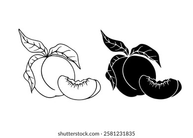Line sketch,silhouette,peach fruit stamp.Vector graphics.