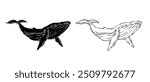 Line sketch,silhouette,stamp of marine mammal blue whale.Vector graphics.