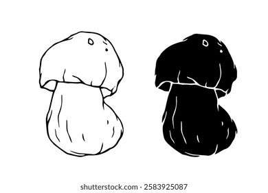 Line sketch,silhouette,stamp of porcini mushrooms.Decorative doodles of vegetables.Vector graphics.