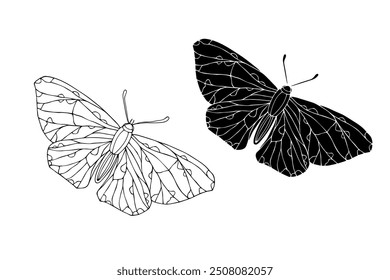 Line sketch,silhouette,stamp of winged insect night moth,butterfly.Vector graphics.	