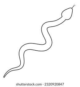 Line snake. Serpent linear animal. Vector illustration isolated on white.