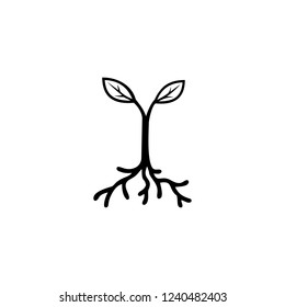 Line sprout and plant growing
