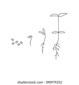 Keim- und Pflanzenanbau. Lineares Naturblatt, Baum, Garten und Blume, Bio-Gartenbau, Öko-Flora. Timeline Infografik der Pflanzung Baum Prozess, Business-Konzept flach Design.