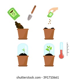 Line sprout and plant growing. Linear nature leaf, grow tree, garden and flower, organic gardening, eco flora. Timeline infographic of planting tree process, business concept flat design.