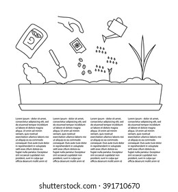 Line sprout and plant growing. Linear nature leaf, grow tree, garden and flower, organic gardening, eco flora. Timeline infographic of planting tree process, business concept flat design.