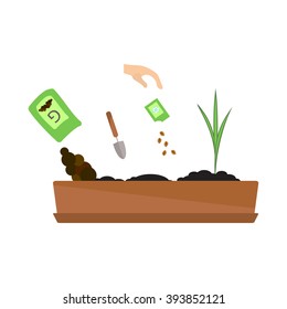 Line sprout and plant growing. Linear nature leaf, grow tree, garden and flower, organic gardening, eco flora. Timeline infographic of planting tree process, business concept flat design.