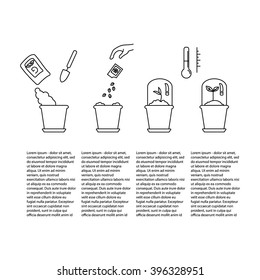 Line sprout and plant growing. Linear nature leaf, grow tree, garden and flower, organic gardening, eco flora. Timeline infographic of planting tree process, business concept flat design.