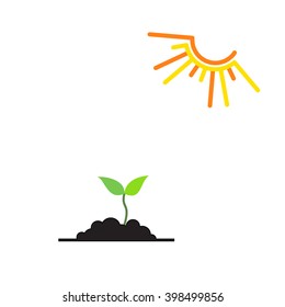 Line sprout and plant growing.Timeline infographic of planting tree process, business concept flat design.