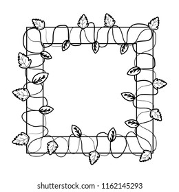 line squard frame with branches leaves plants