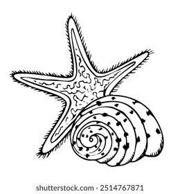 Line Starfish with spiral seashell black and white graphic vector illustration. Oceanic tropical animals from tropical ocean reef for nautical marine designs