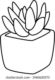 line style illustration of potted succulent plant