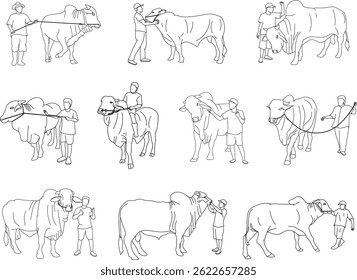 Um conjunto de ilustrações em estilo de linha que mostra pessoas com vacas intermitentes em cenas do Eid al Adha, para visuais de feriado islâmico, materiais educacionais e projetos de eventos culturais.