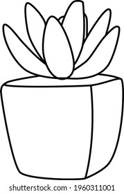line style illustration of succulent in a pot
