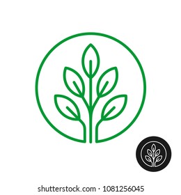 Line style round logo with tree leaves. Three branches up with green leaves on. Circle natural plant sign. Elegant linear nature theme icon.