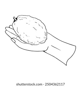 Line Sukkot etrog fruit taken in hand for selecting for Jewish holiday species ritual simple ink vector illustration. Citron citrus design sketch black and white element