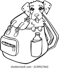 Line symbol of a backpack in which a dog sits tourist, for travel