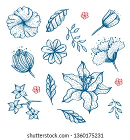 line tender flowers in dotwork