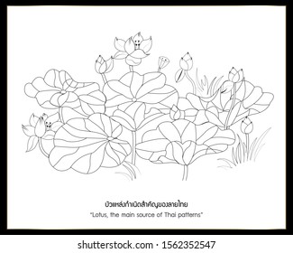 Line thai Traditional “Lotus, the main source of Thai patterns” Thai style pattern.
Vector set of hand drawn lotus flowers and leaves isolated on white background.